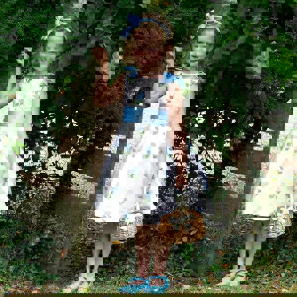 Rachel Riley Blue Rose Embroidered Organza Dress