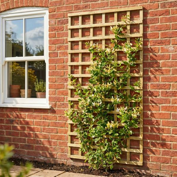 5 pack trellis flat top square [w.6ft x h.6ft] 1