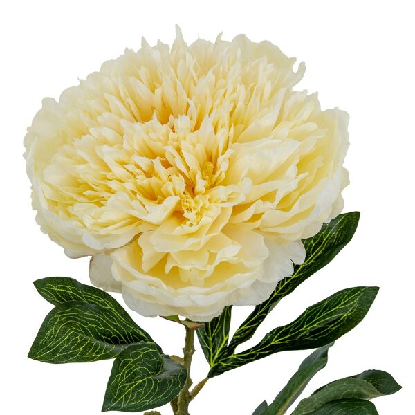 Wyld Haus Set of 3 Artificial Flowers Large Buttermilk Double Peony Stems