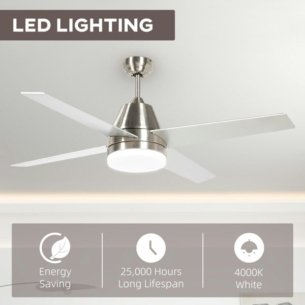 Ceiling Fan With Light