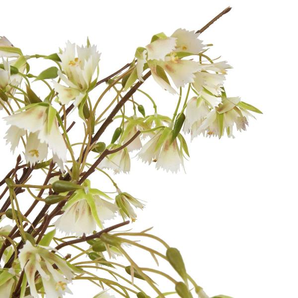 Wyld Haus Set of 3 Artificial Flowers Elaeocarpus Stems