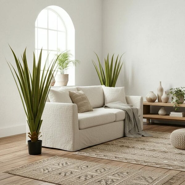 Wyld Haus Robanne Set Of 2 Artificial Agave Style Succulent Plants In Pots H8 90cm