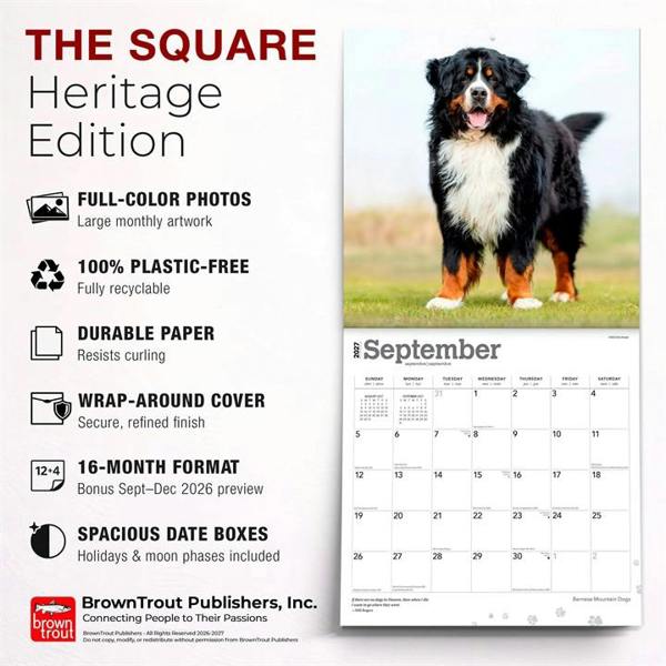 Bernese Mountain Dogs Calendar 2027, Wall Calendars, Month To View, Dogs, Gift
