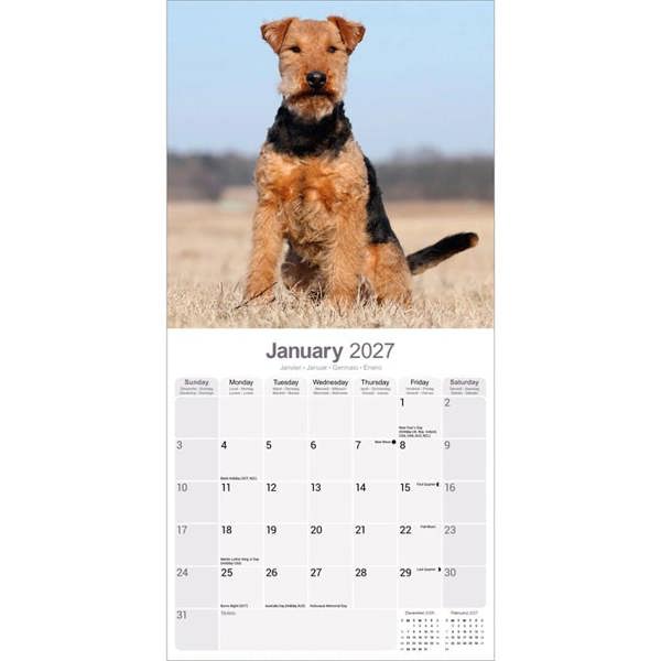 Welsh Terrier Calendar 2027, Wall Calendars, Month To View, Dogs, Gift