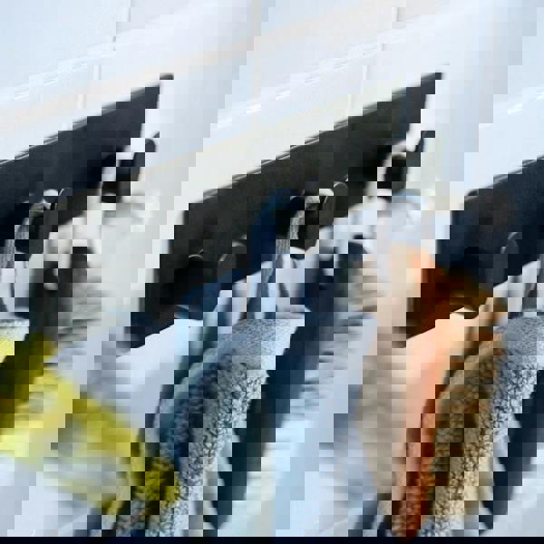 BESLAGSBODEN Black Stainless Steel Triple Towel Hook (192 x 48mm) Self Adhesive Bathroom Wall Mounted