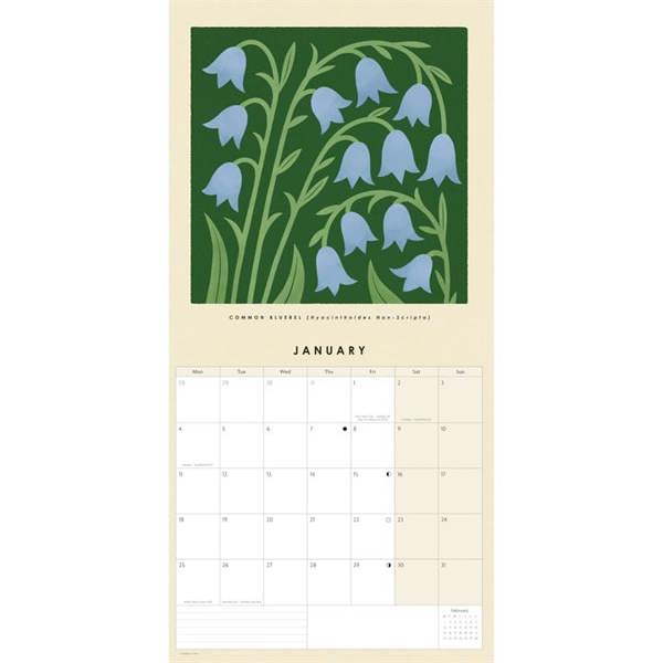 Bird & Co Birth Flower Calendar 2027, Wall Calendars, Month To View, Art, Gift