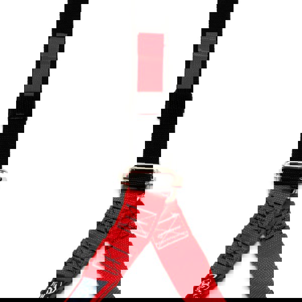 Fitness Mad Pro Bodyweight Suspension Trainer Strap