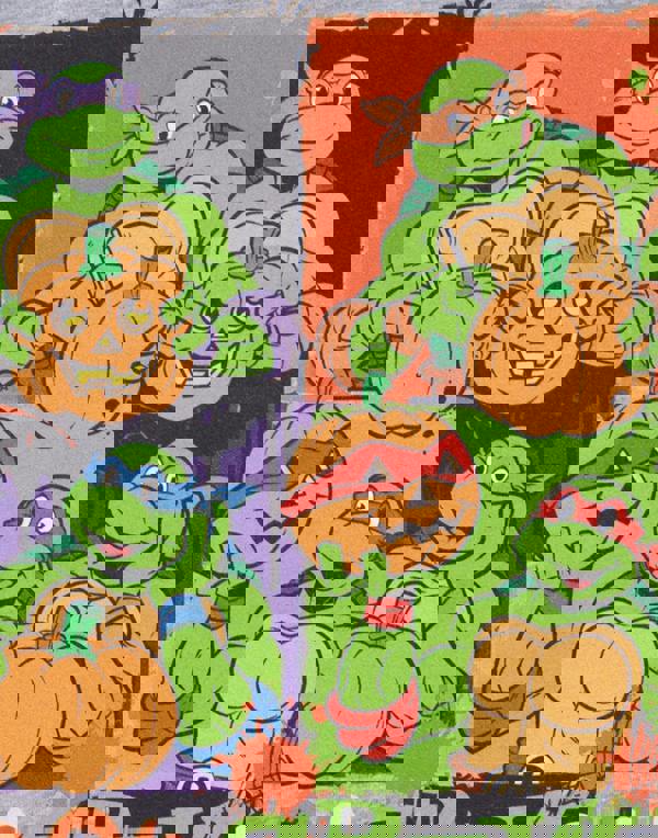 Teenage Mutant Ninja Turtles Unisex Kids Grey Boo Crew Short Sleeved T-Shirt