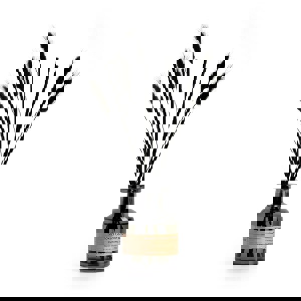 CAHM Smoked Cedar & Bergamot Reed Diffuser - Black