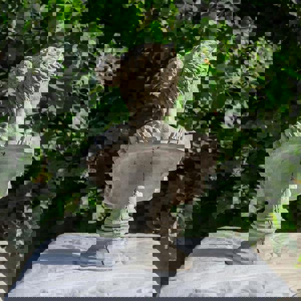 Classical Athena Bust Garden Ornament