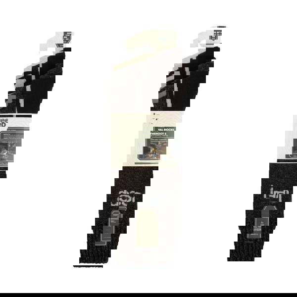 t4option1_1