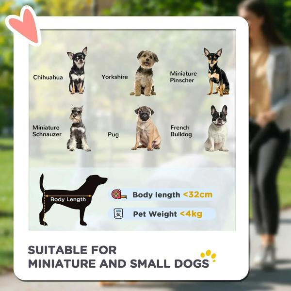Dog size chart card for miniature and small dogs, with paw silhouettes