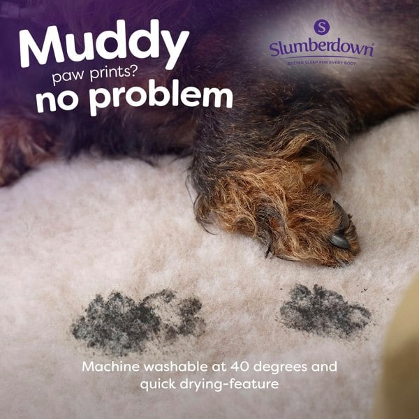 Slumberdown Paws for Slumber Vet Mat