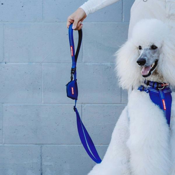 EzyDog Essential Poop Bag Holder in Blue