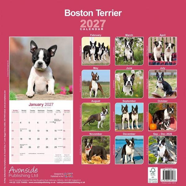 Boston Terrier Calendar 2027, Wall Calendars, Month To View, Dogs, Gift