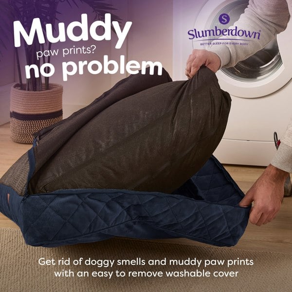 Paws for Slumber Padded Pet Bed, Blue, Extra Large