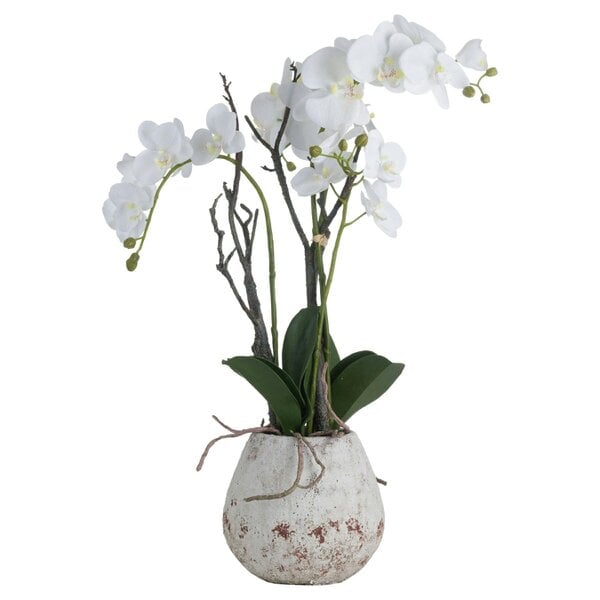 Wyld Haus Artificial Plant White Orchid in Ceramic Pot