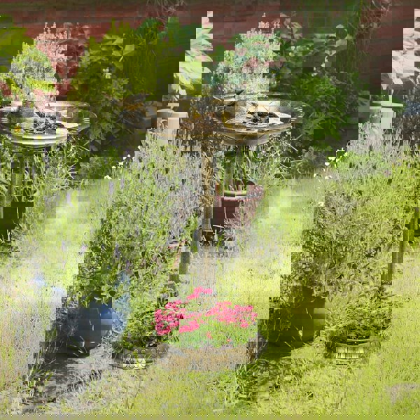 Garden Bird Bath
