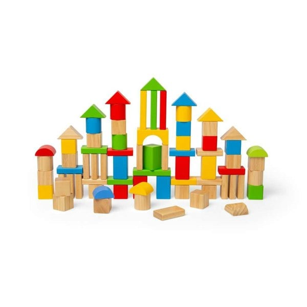 Bigjigs Toys First Building Bricks