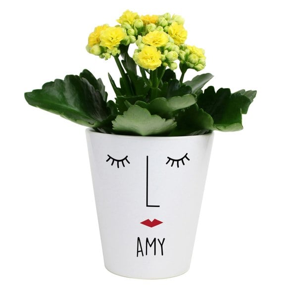 Personalised Memento Company Personalised 'Mrs Face' Plant Pot
