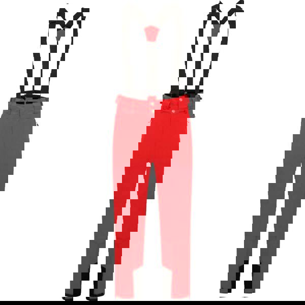 Dare 2B Mens Achieve II Ski Trousers - Danger Red