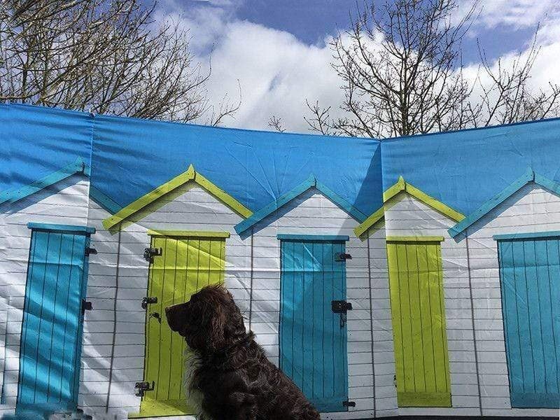 Beach Huts Design 4 Pole Compact Windbreak Steel Poles by OLPRO pictured close up on a field with a cocker spaniel sat in front of it. It's design is a Blue sky with White Beach huts with alternate blue and yellow doors fully assembled in a U shape.