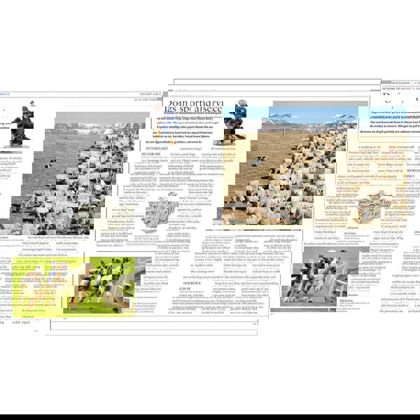 The Dog Encyclopedia: The Definitive Visual Guide (DK Pet Encyclopedias)