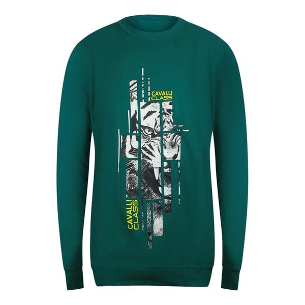Cavalli Class Splintered Tiger Graphic Green Ottanio Sweatshirt