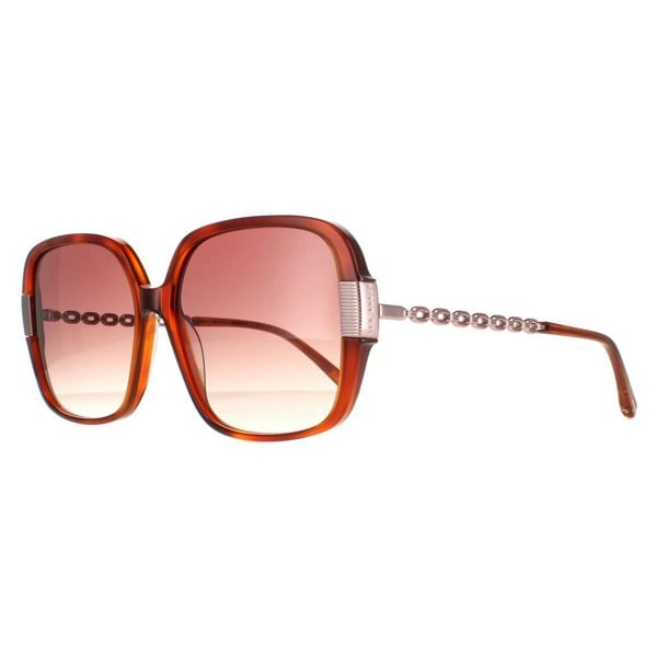 Ted Baker Sunglasses TB1616 Indi 307 Tortoise Brown Brown Gradient