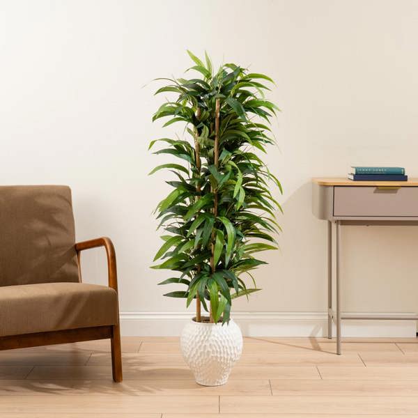 Scottish Everlastings 130cm Slimline Bamboo tree in Dimpled Ceramic Pot