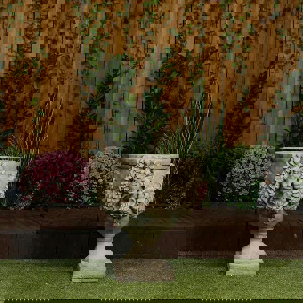 Grand & Ornate Stone Cast Cherub Planter (Lid not Included) 