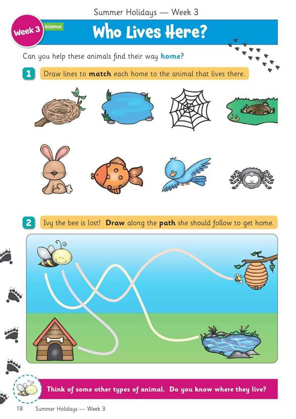 Early Years Summer Holidays Activity Workbook Bundle – for kids between Reception and Year 1 (Ages 4-5) CGP