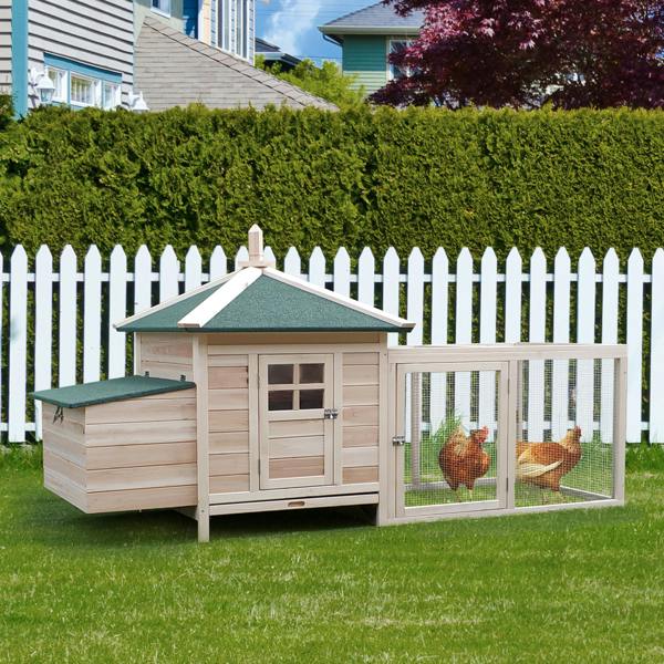 Chicken Coop