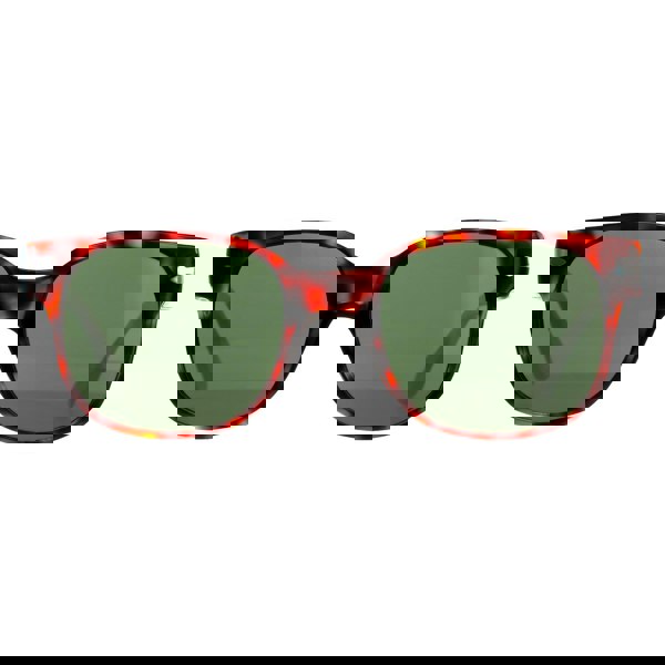 Persol Sunglasses PO3257S 24/31 Havana Green