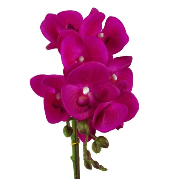 Leaf 50cm Phalaenopsis Orchid Artificial - Dark Pink Silver