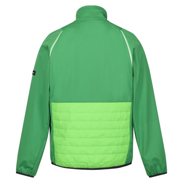 Regatta Men's Steren Hybrid Soft Shell Jacket - Field Green/Jasmine Green