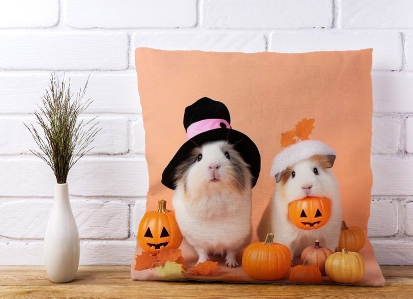 Warren Reed Trick Or Treating Guinea Pigs Cushions