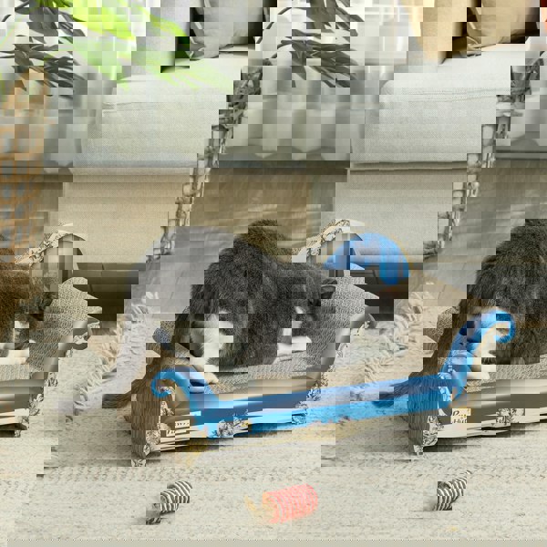 D30-880V00BU