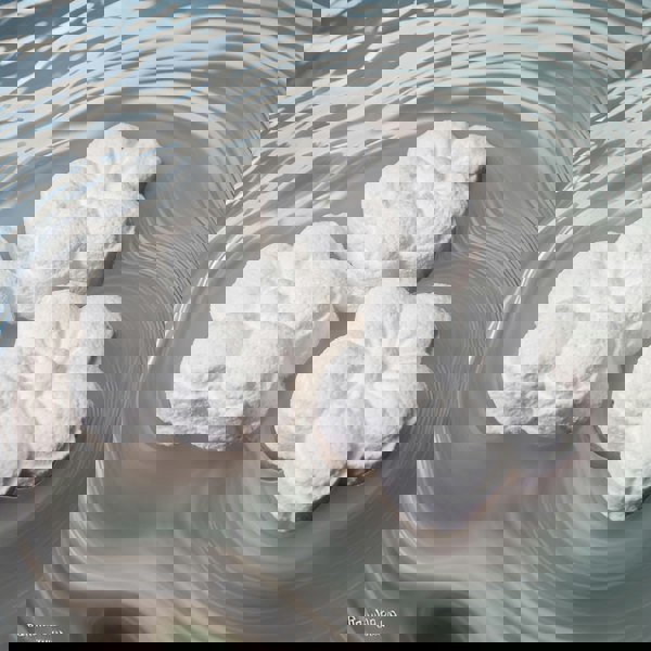 shower steamers
