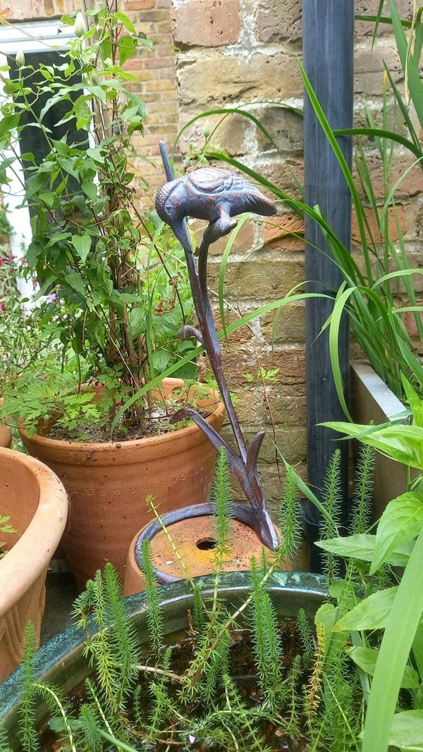 Inspirational Gifting Kingfisher on Reeds Garden Ornament Sculpture with an Aged Bronze Finish