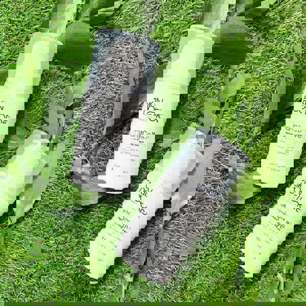 Skin Doctors Skinactive 14 Intensive Day Cream