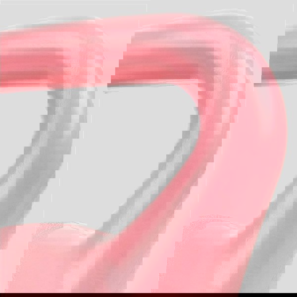 Phoenix Fitness Kettle Bell Pink 20kg