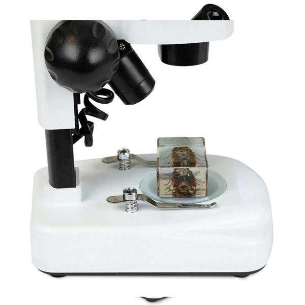 Celestron Labs S20 Angled Stereo Microscope