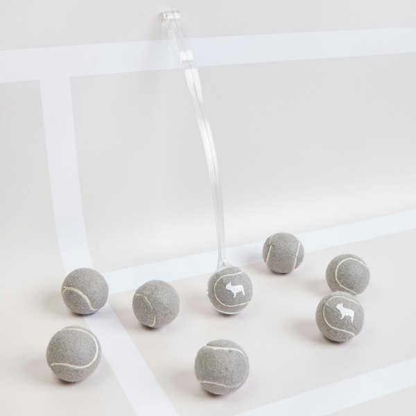 Grey Tennis Balls for Dogs Playtime 