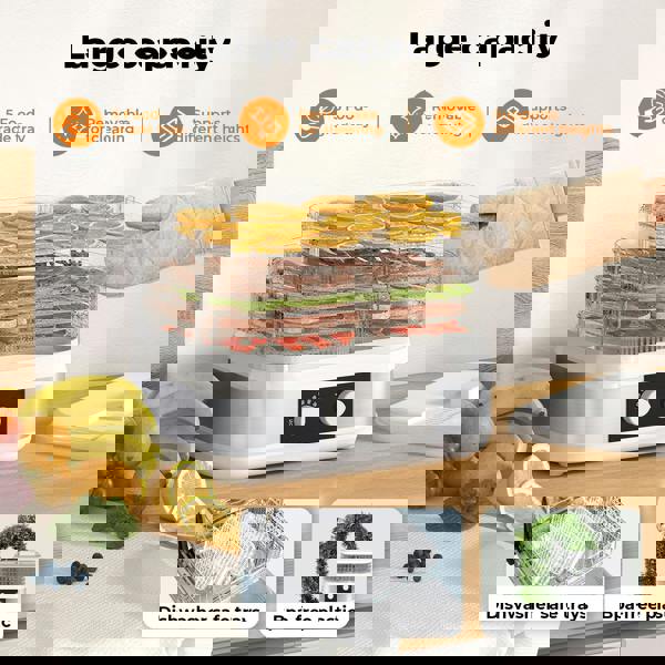 Spector 5 Tray Stainless Steel Food Dehydrator Jerky Fruit Vegetable Dryer White