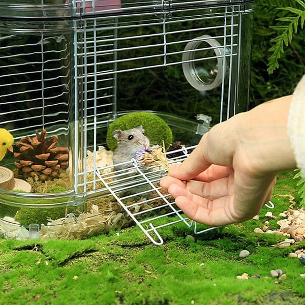 Portable Transparent Hamster Cage Living and Home