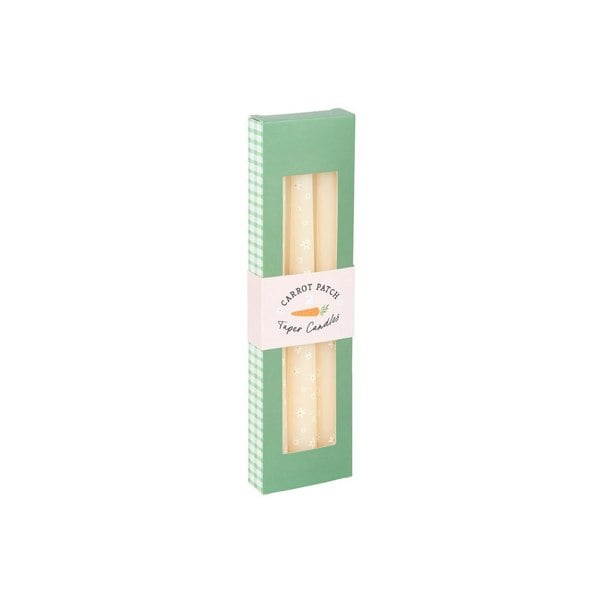 Serano Set of 3 Carrot Patch Daisy Taper Candles