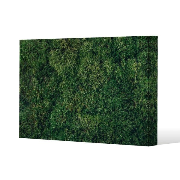 Benjamin Tate Design Natural green moss Slim Style Canvas Print  90x120cm , 15mm Slim Real wood.