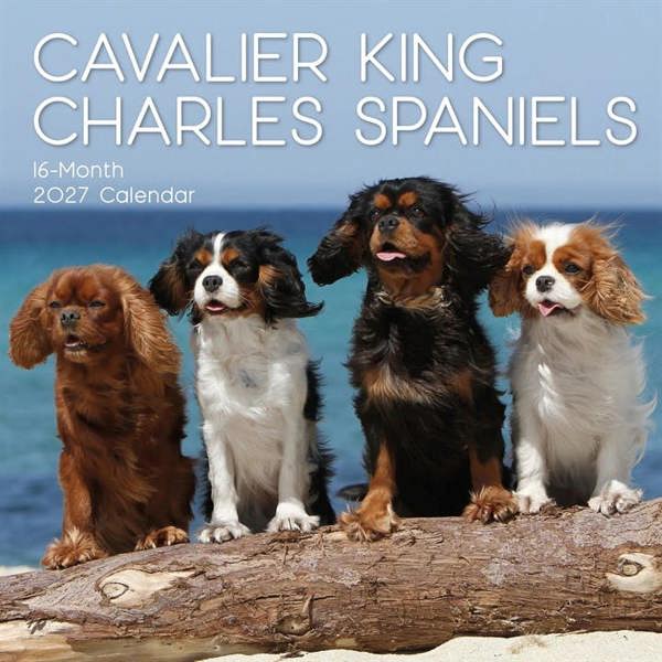 Cavalier King Charles Spaniels Calendar 2027, Wall Calendars, Month To View, Dogs, Gift