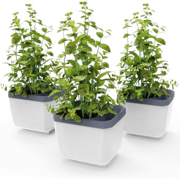 HERBS BUDDY herb pot with water reservoir - White